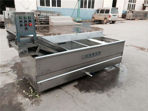 滁州毛辊式清洗机按需定制 富瑞德食品机械